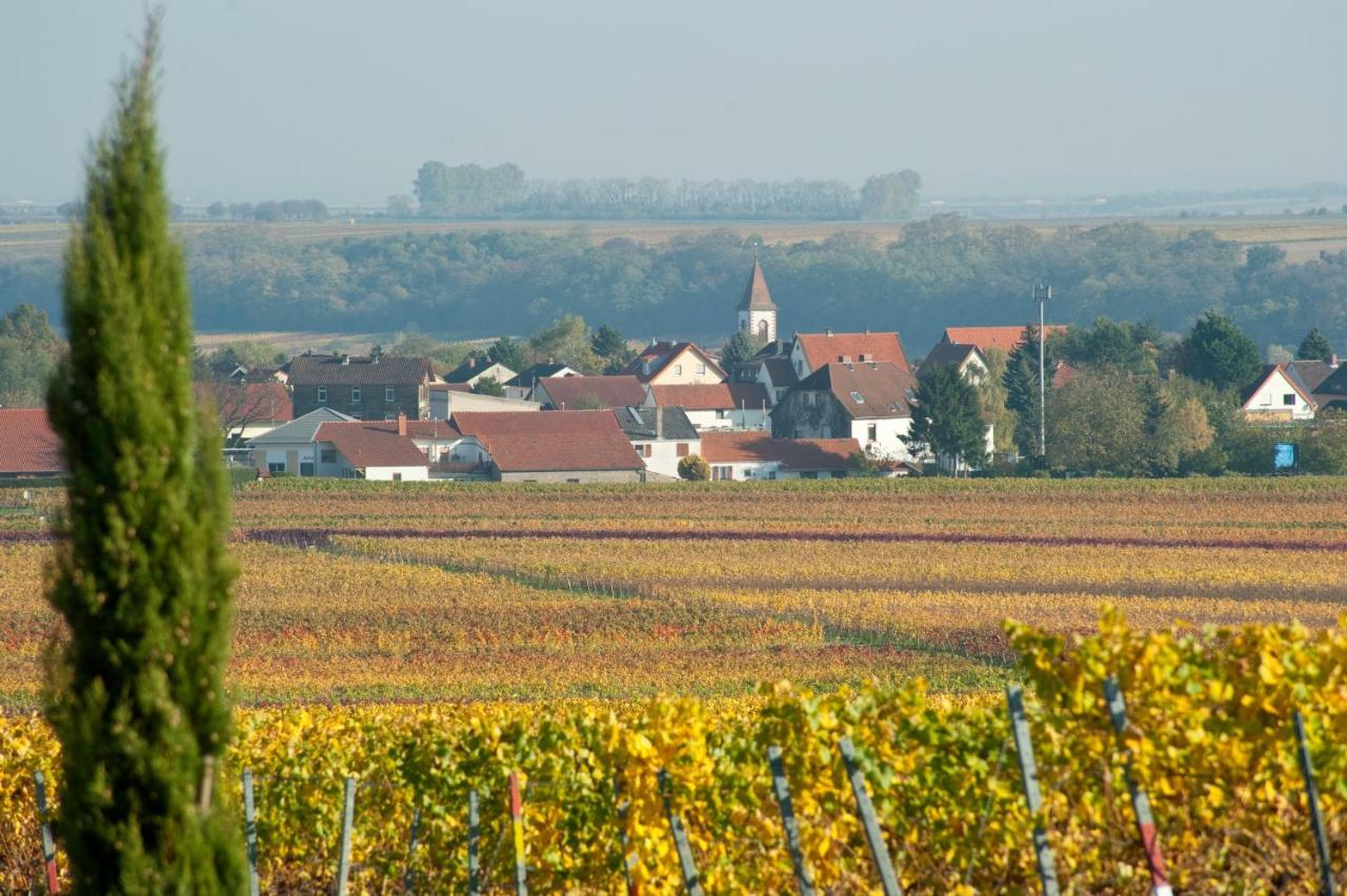 Gaestehaus & Weingut Peth Florsheim-Dalsheim Екстериор снимка